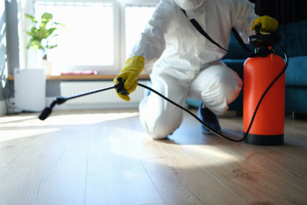 Best Best Pest Control Companies  in Johnson City, TX