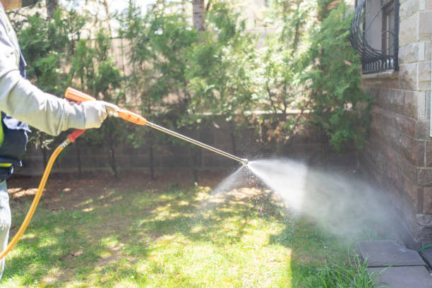 Best Wasp Removal Services  in Johnson City, TX